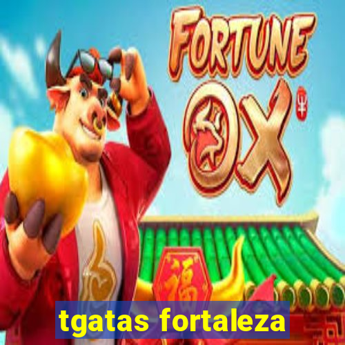 tgatas fortaleza